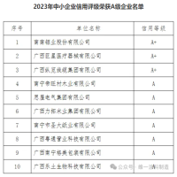 恭喜我司在南寧市2023年中小企業(yè)信用評(píng)級(jí)榮獲A級(jí)